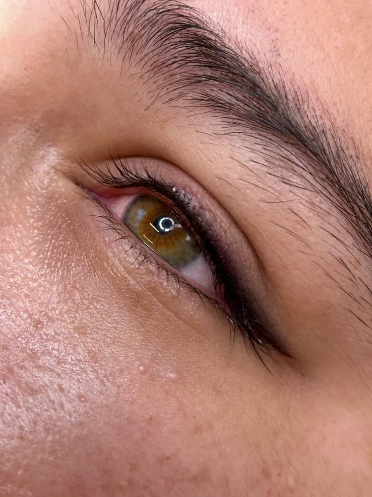 Eyeliner tattoo result 18
