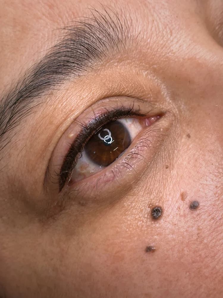 Eyeliner tattoo result 19