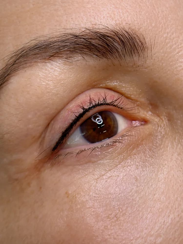 Eyeliner tattoo result 24