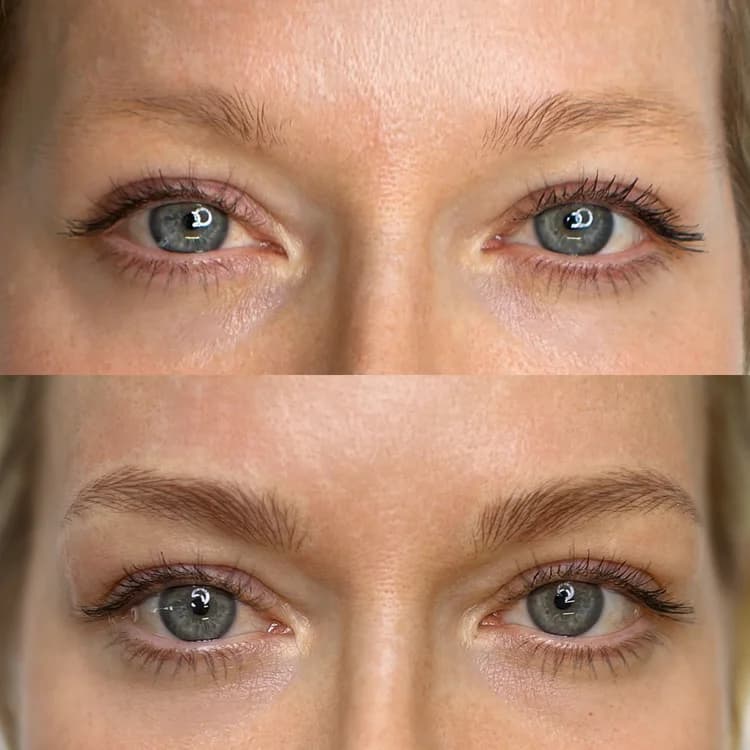 Eyebrow tattoo result 32