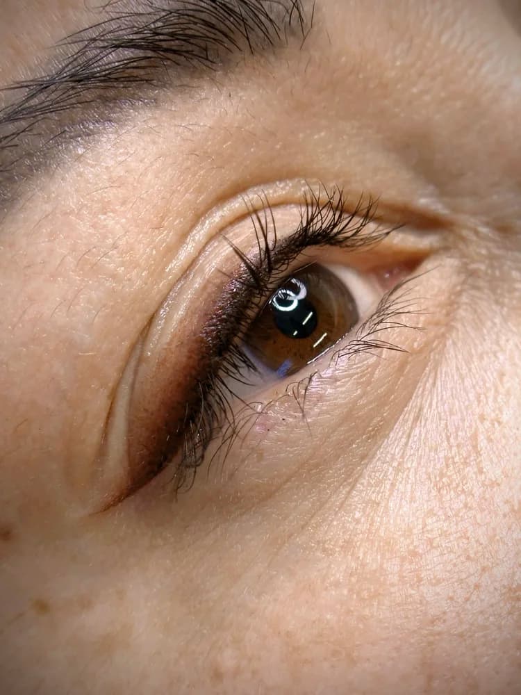 Eyeliner portfolio